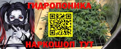 ГАЛЛЮЦИНОГЕННЫЕ ГРИБЫ Кимры