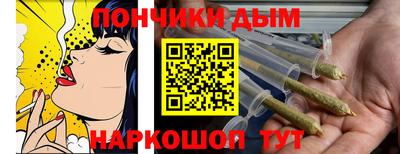 индика Кинель