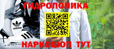 героин Кингисепп