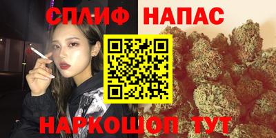 индика Кинель