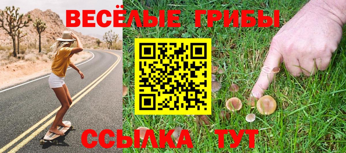 Гатчина  Галлюциногенные грибы прущие грибы  Вход с VPN 